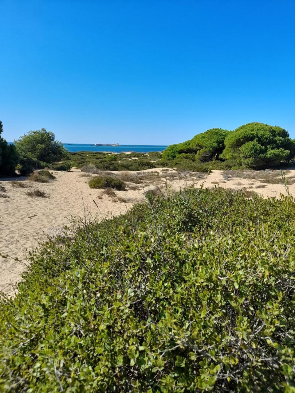 Apartamento Playa La Barrosa Chiclana de la Frontera Exterior photo